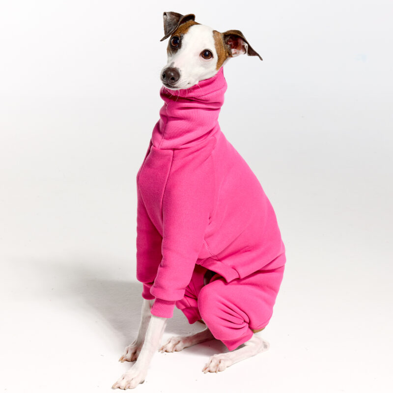 Royal Hound | Italian Greyhound Clothing