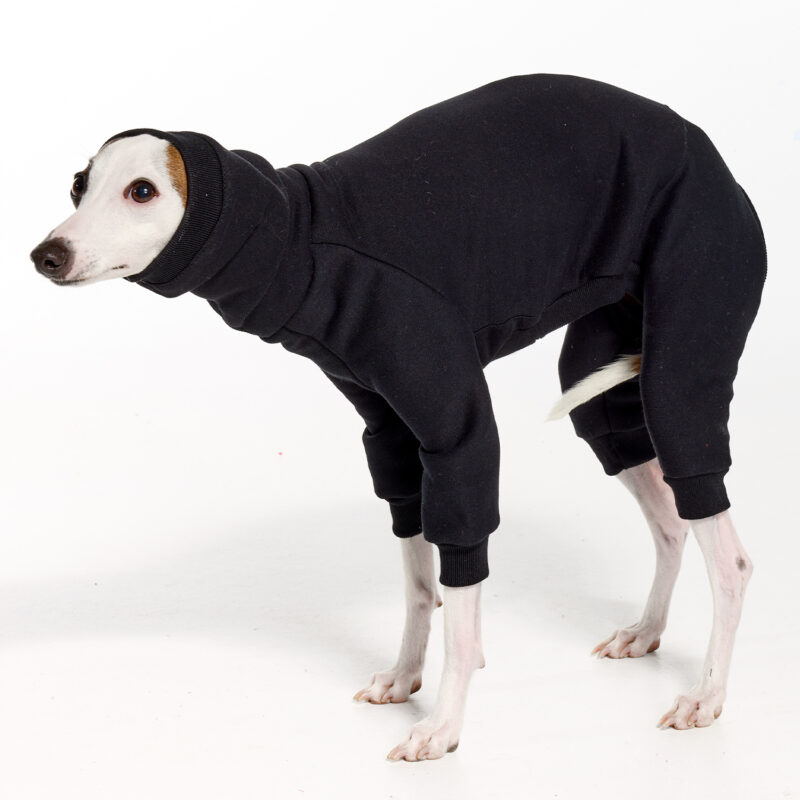 Italian Greyhound Clothing - Fleece