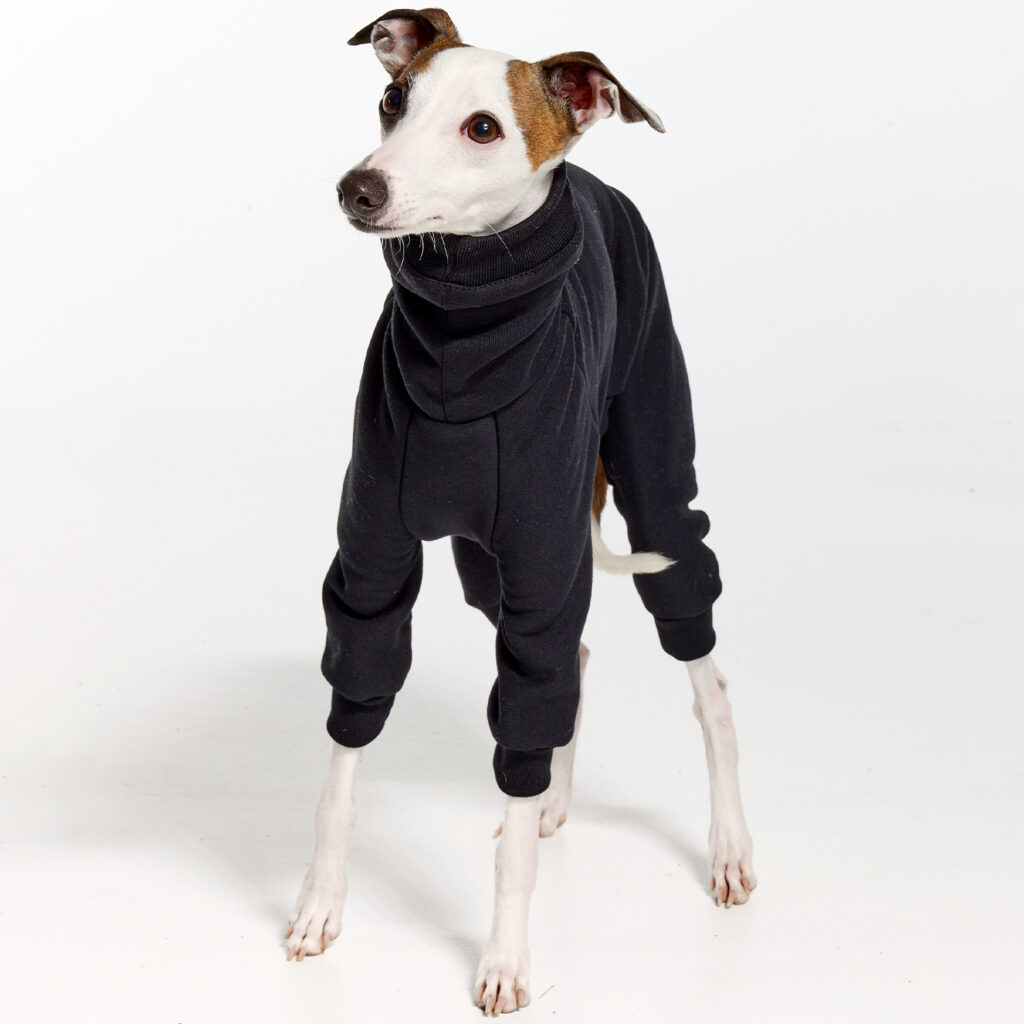 Full Suit Turtleneck Fleece Black Italian Greyhounds Clothes