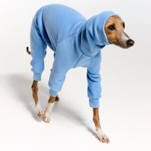 Italian Greyhound Clothing - Fleece | Royal Hound