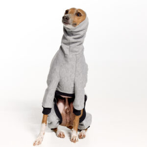 Italian Greyhound Clothing - Fleece | Royal Hound