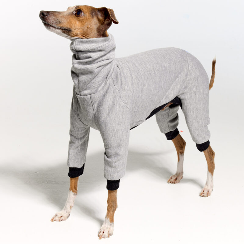 Italian Greyhound Clothing - Fleece | Royal Hound