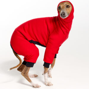 Italian Greyhound Clothing - Fleece | Royal Hound