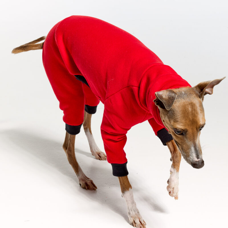 Italian Greyhound Clothing - Fleece | Royal Hound