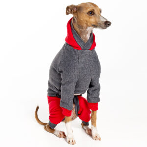 Italian Greyhound Clothing | Whippet Clothing | Royal Hound