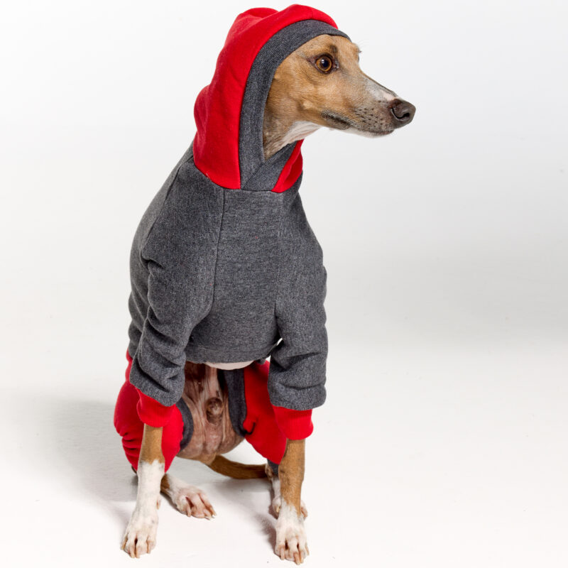 Italian Greyhound Clothing | Whippet Clothing | Royal Hound