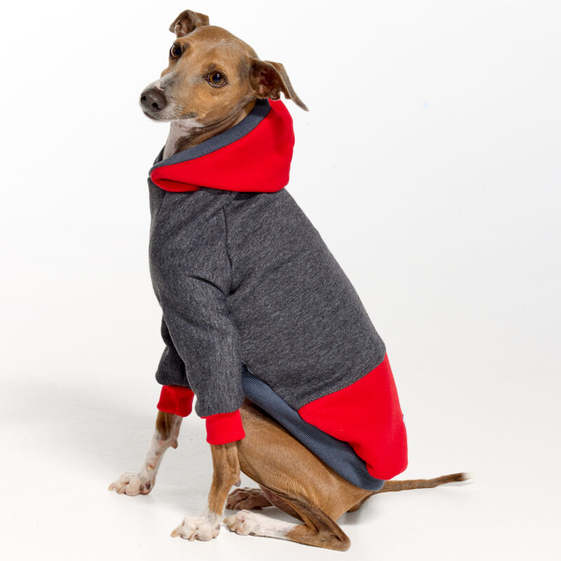 Italian Greyhound Clothing | Whippet Clothing | Royal Hound