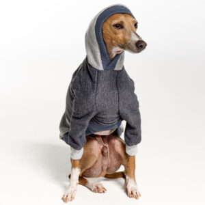 Italian Greyhound Clothing | Whippet Clothing | Royal Hound