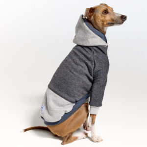 Italian Greyhound Clothing | Whippet Clothing | Royal Hound