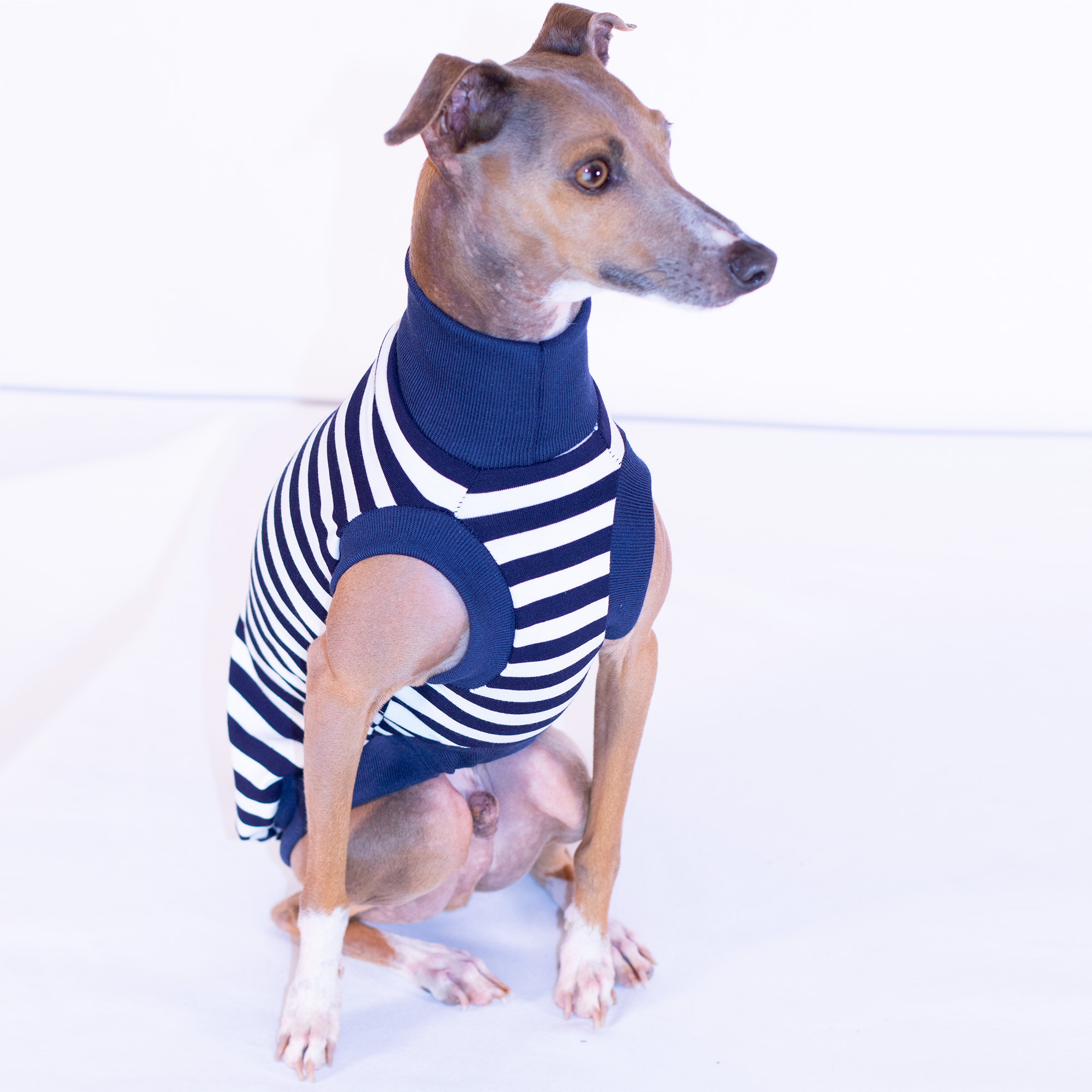 Shop Royal Hound Clothing