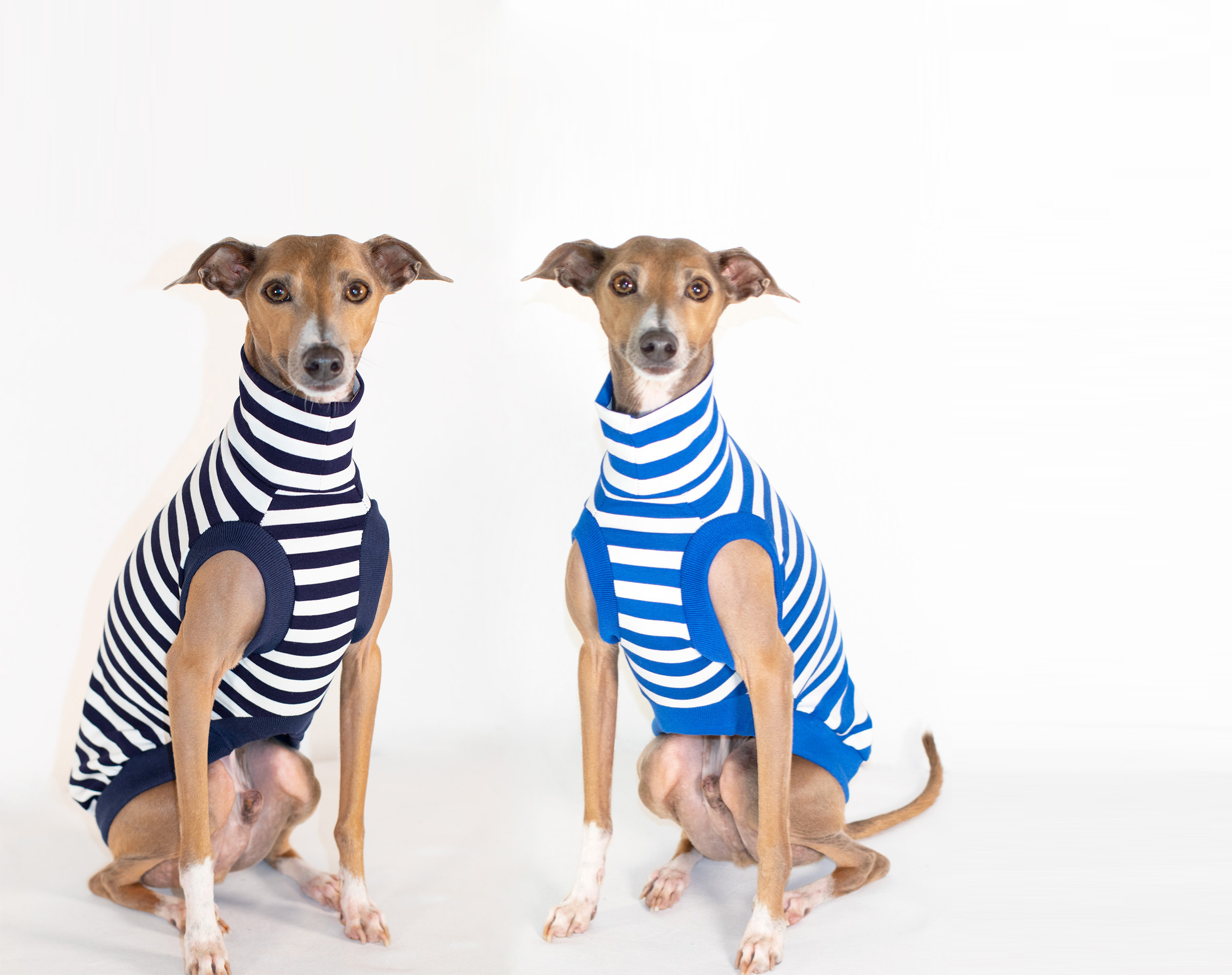 clothes for italian greyhound dogs