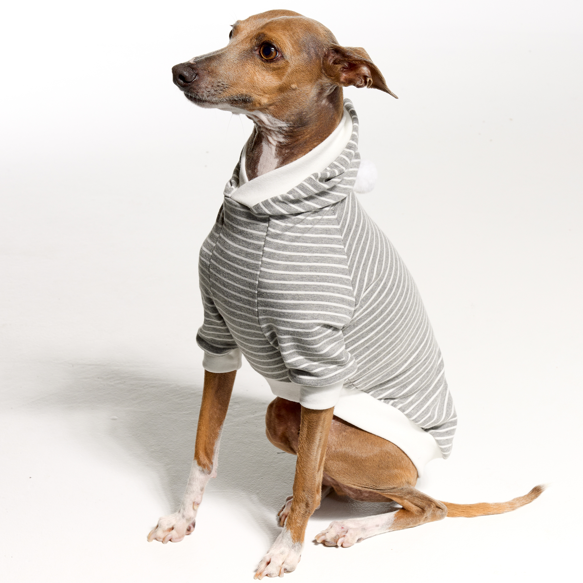 Shop Page 5 of 7 Royal Hound Clothing