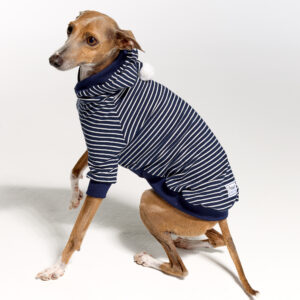 Italian Greyhound Clothing and Whippet Clothing