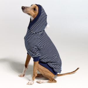 Italian Greyhound Clothing and Whippet Clothing