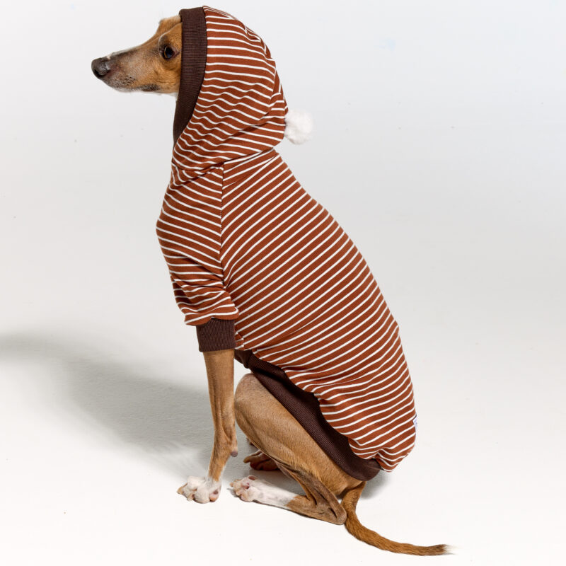 Italian Greyhound Clothing and Whippet Clothing