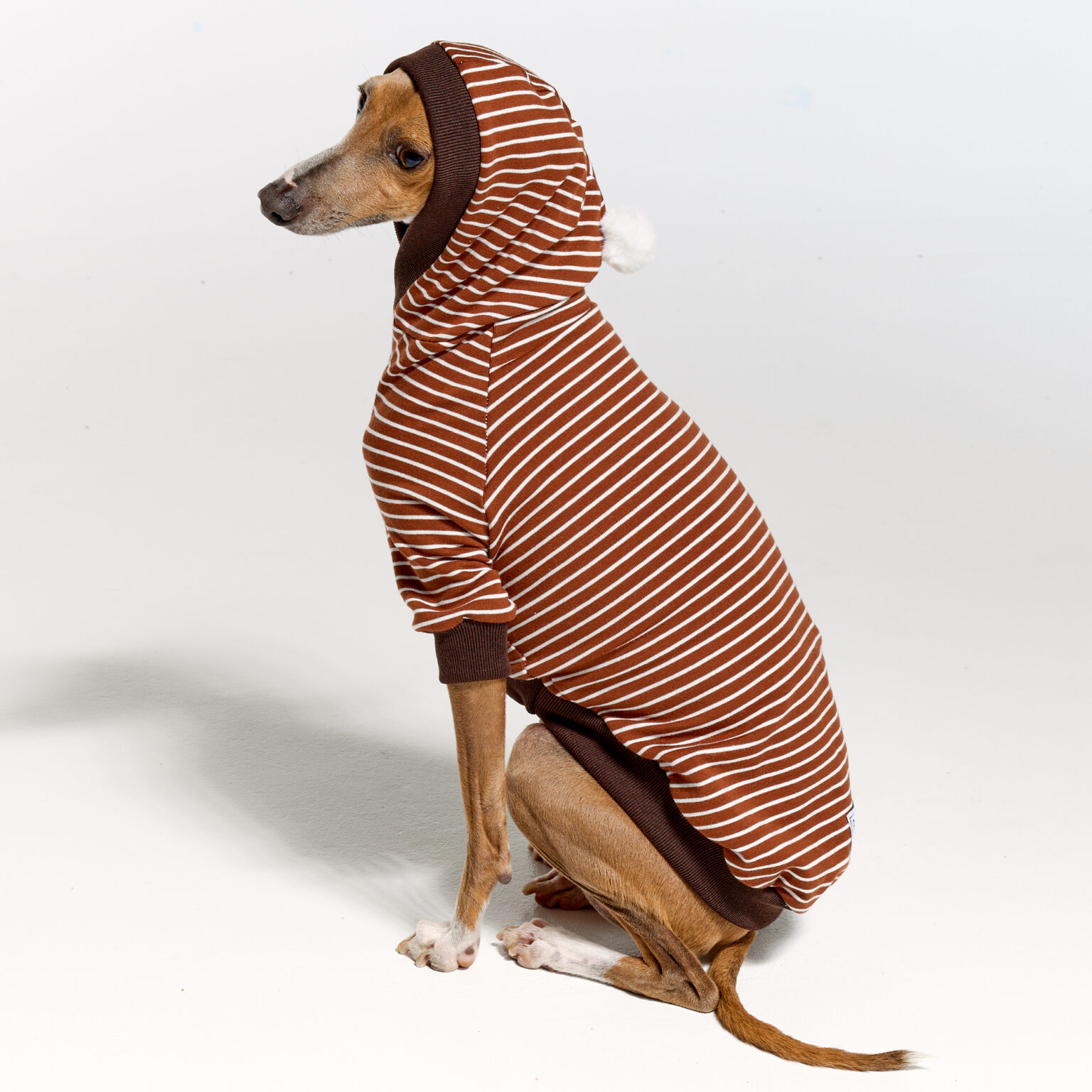 Malibu Hoodie Chocolate Clothes for Italian Greyhounds