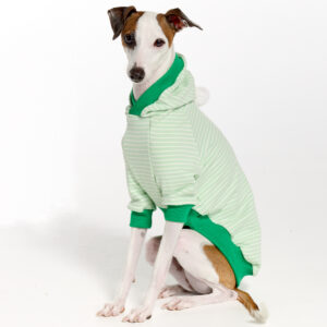 Italian Greyhound Clothing and Whippet Clothing