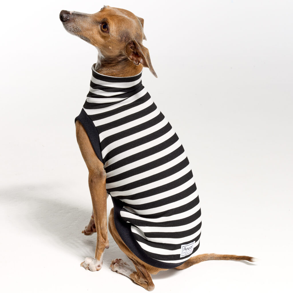 belle-turtleneck-black-clothes-for-italian-greyhounds