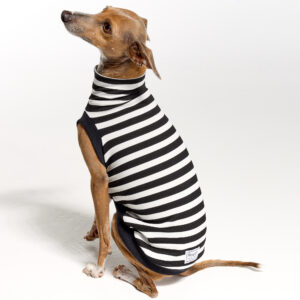 Italian Greyhound Clothing | Royal Hound | Belle