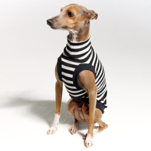 Italian Greyhound Clothing | Royal Hound | Belle