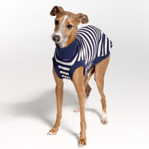 Italian Greyhound Clothing | Royal Hound | Belle