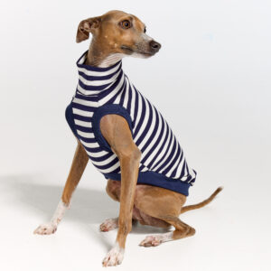 Italian Greyhound Clothing | Royal Hound | Belle