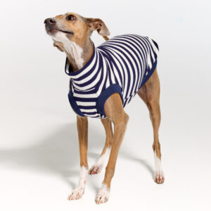 Italian Greyhound Clothing | Royal Hound | Belle