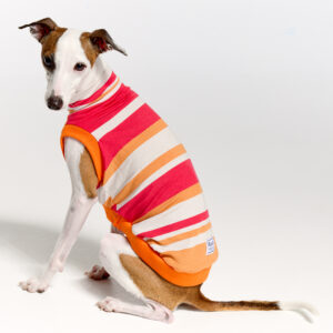 Italian Greyhound Clothing | Royal Hound | Lilly