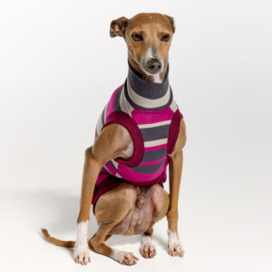 Italian Greyhound Clothing | Royal Hound | Lilly