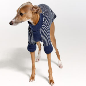 Italian Greyhound Suits | Whippet Suits