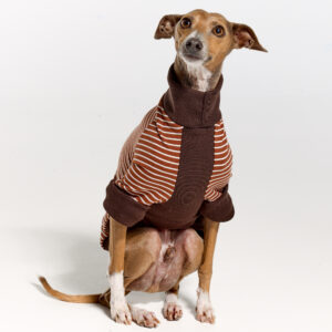 Italian Greyhound Suits | Whippet Suits