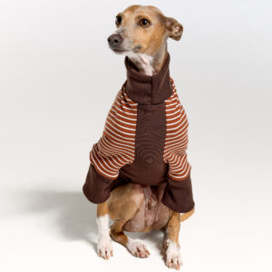 Italian Greyhound Suits | Whippet Suits