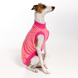 UV Suite for Italian Greyhounds & Whippets | Royal Hound