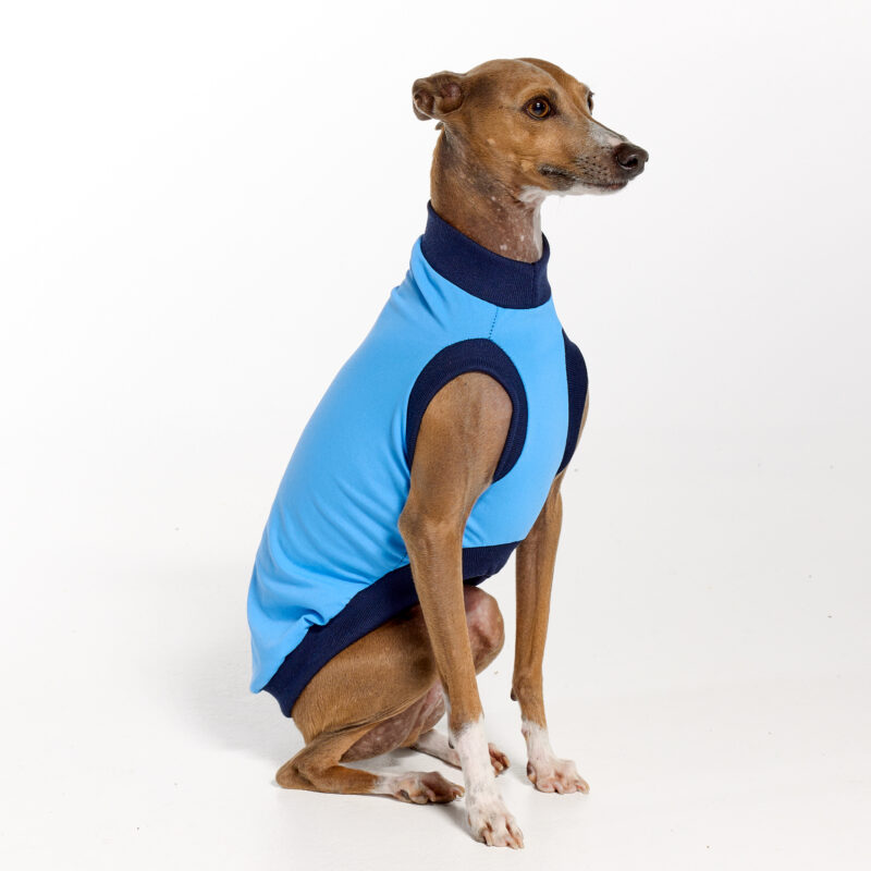 UV Suite for Italian Greyhounds & Whippets | Royal Hound