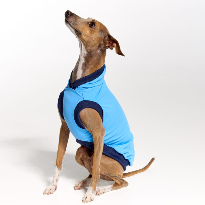 Sleeves UV Hoodie Suit for Italian Greyhound | Royal Hound