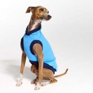 Sleeves UV Hoodie Suit for Italian Greyhound | Royal Hound