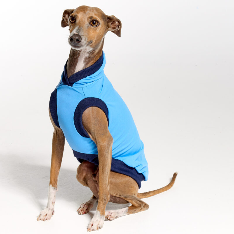 Sleeves UV Hoodie Suit for Italian Greyhound | Royal Hound