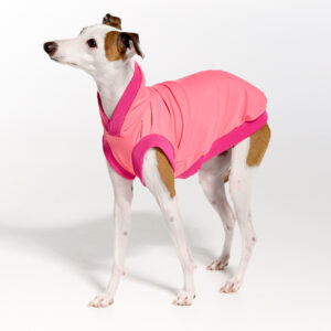 Sleeves UV Hoodie Suit for Italian Greyhound | Royal Hound