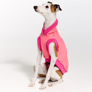 Sleeves UV Hoodie Suit for Italian Greyhound | Royal Hound