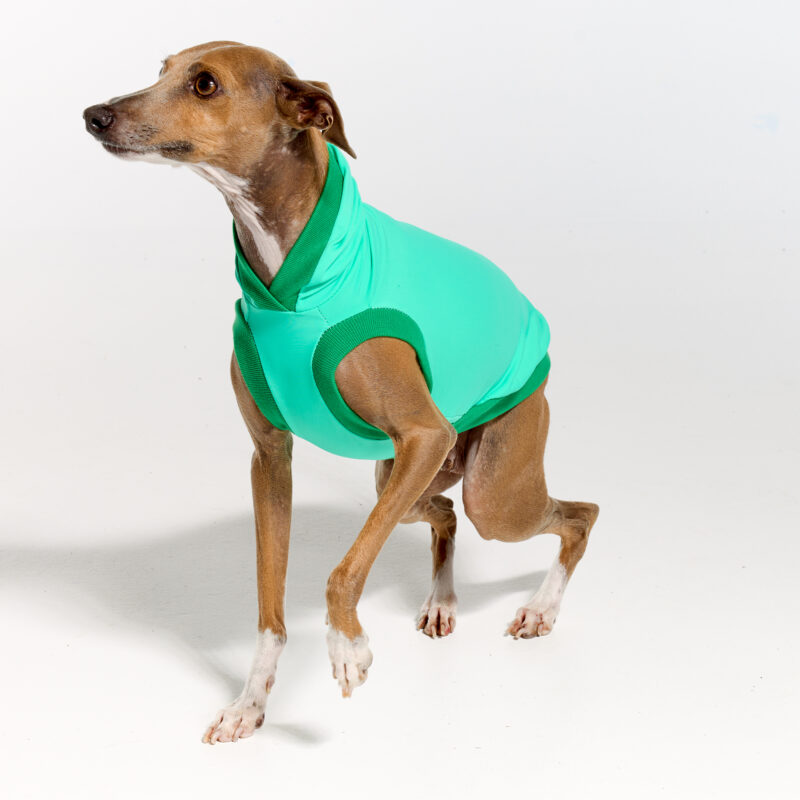 Sleeves UV Hoodie Suit for Italian Greyhound | Royal Hound