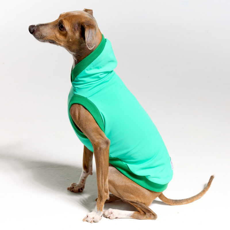 Sleeves UV Hoodie Suit for Italian Greyhound | Royal Hound