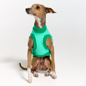 UV Suite for Italian Greyhounds & Whippets | Royal Hound