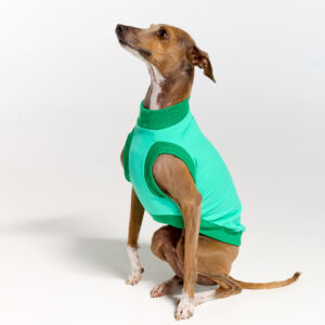 UV Suite for Italian Greyhounds & Whippets | Royal Hound