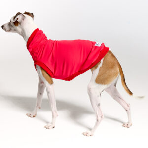 Sleeves UV Hoodie Suit for Italian Greyhound | Royal Hound