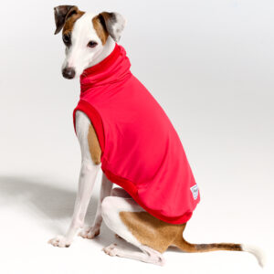 Sleeves UV Hoodie Suit for Italian Greyhound | Royal Hound