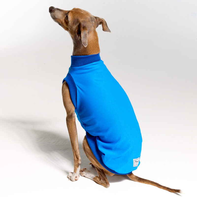 UV Suite for Italian Greyhounds & Whippets | Royal Hound