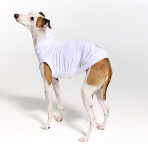 Sleeves UV Hoodie Suit for Italian Greyhound | Royal Hound