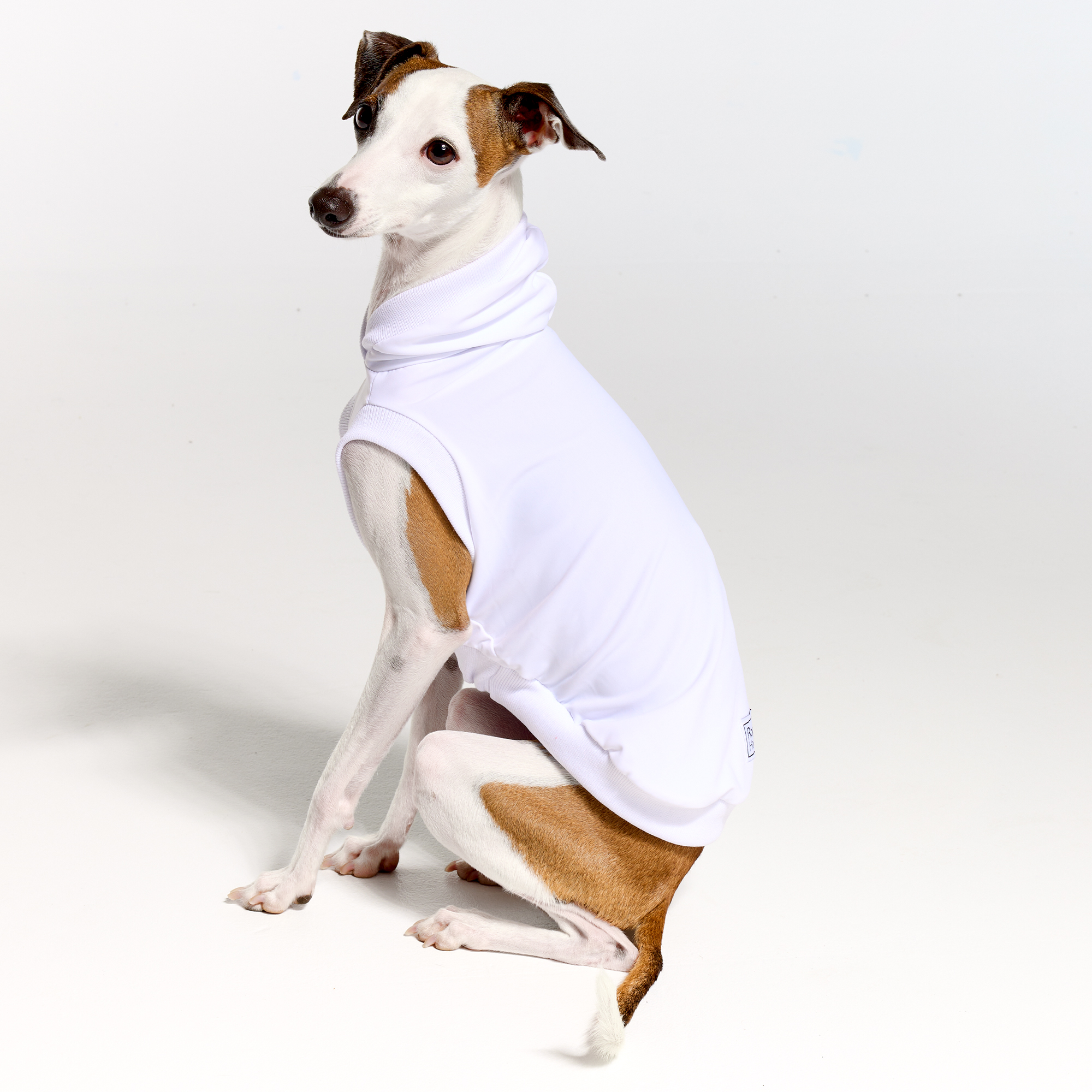 Sleeves UV Hoodie Suit for Italian Greyhound | Royal Hound