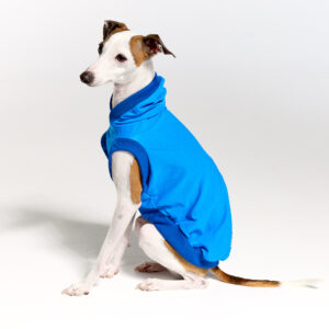 Sleeves UV Hoodie Suit for Italian Greyhound | Royal Hound