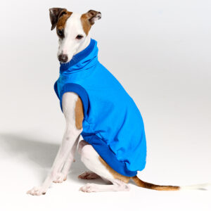 Sleeves UV Hoodie Suit for Italian Greyhound | Royal Hound